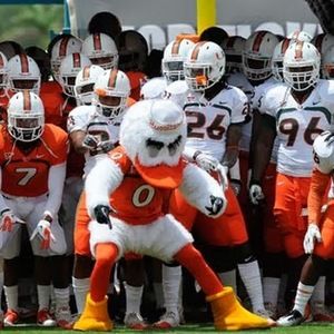 Meet your Posher, Steve